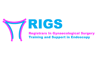 BSGE RIGS HUB National Training Programme applications open